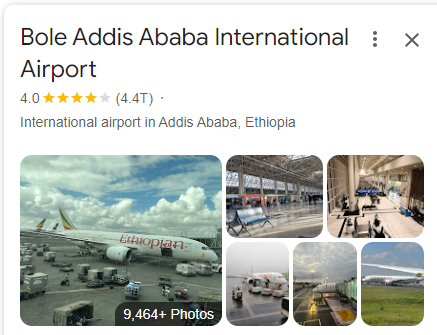 Addis Ababa Bole International Airport Assistance 