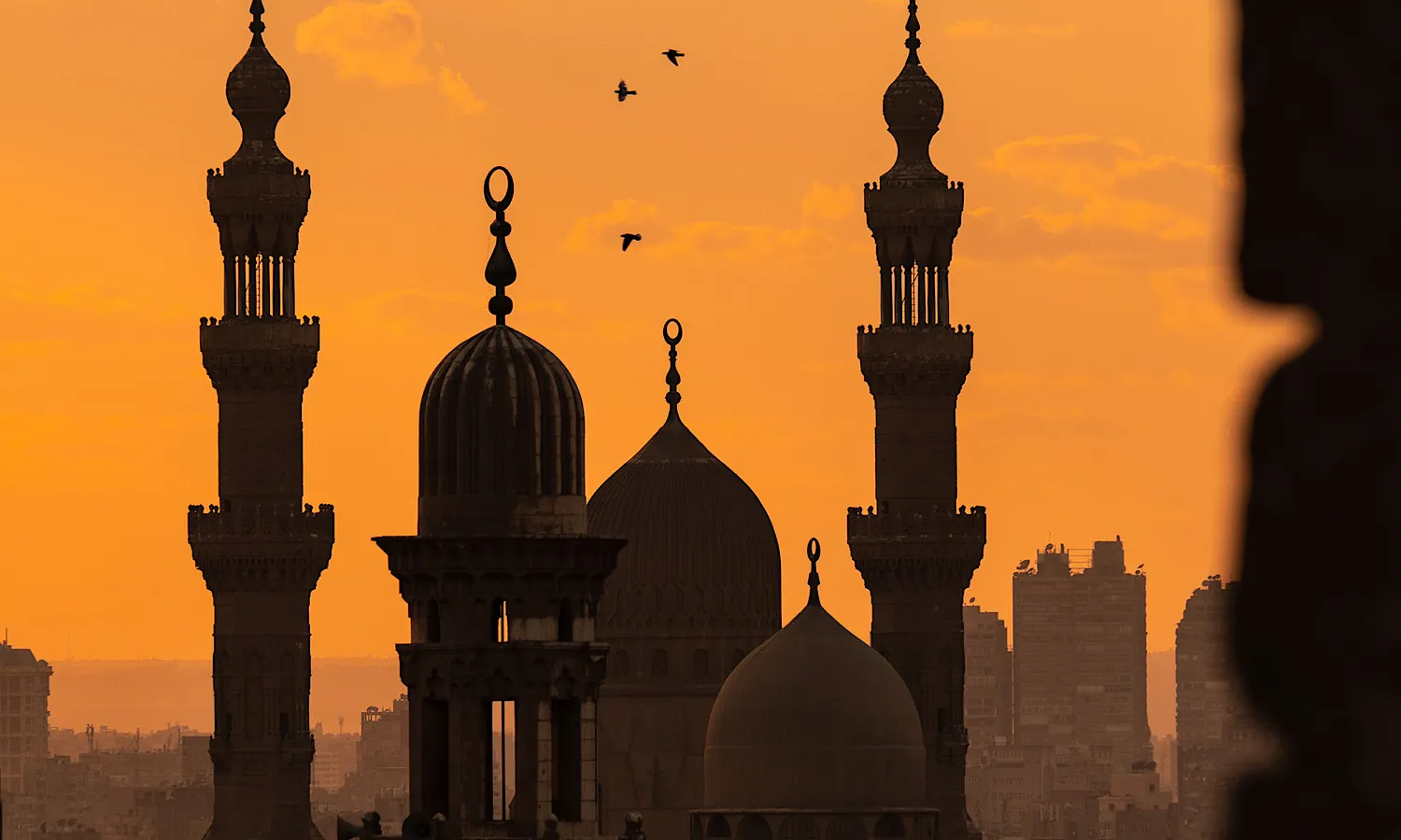 Muslim Cairo