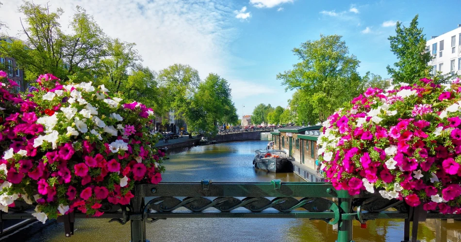 Exploring Amsterdam: Short Layovers (4-6 Hours) Exploring Amsterdam: Short Layovers (4-6 Hours)