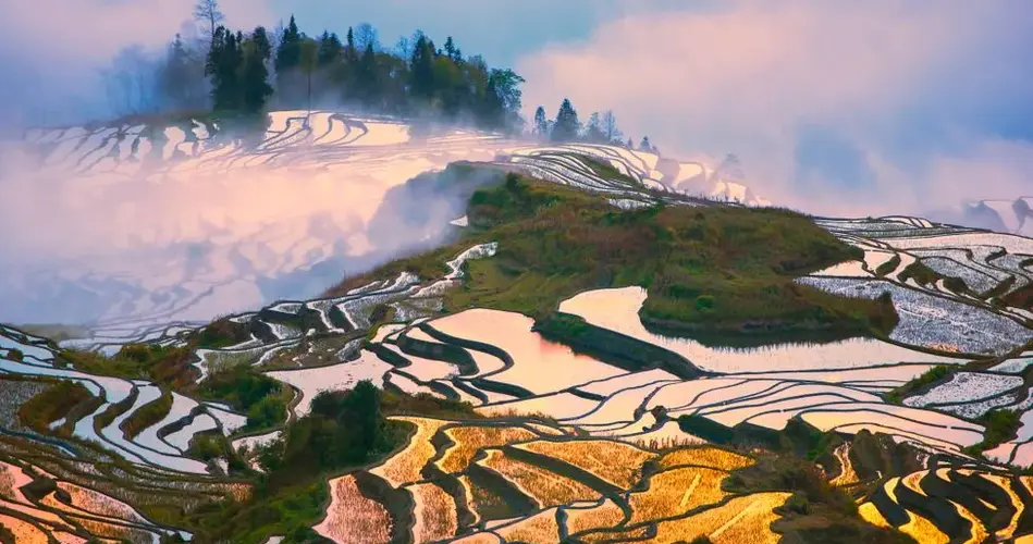 Terraces of Hani Terraces of Hani