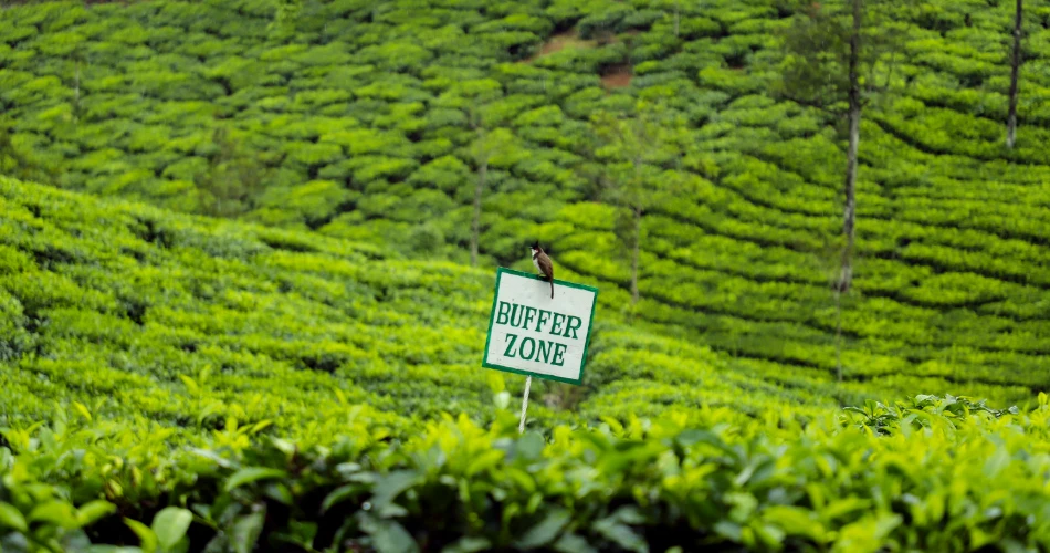 Munnar