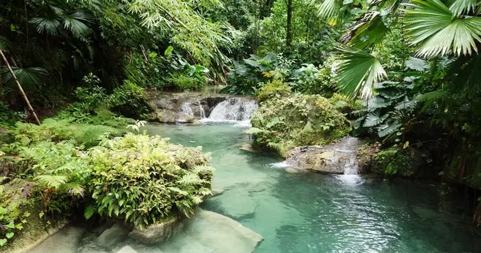 Reach Falls Reach Falls