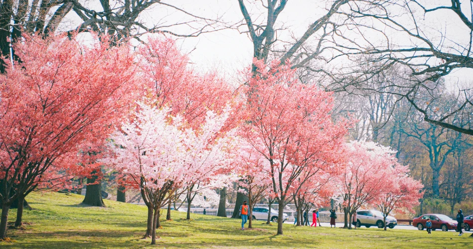 Planning Tips for a Smooth Layover: Planning Tips for a Smooth Layover: