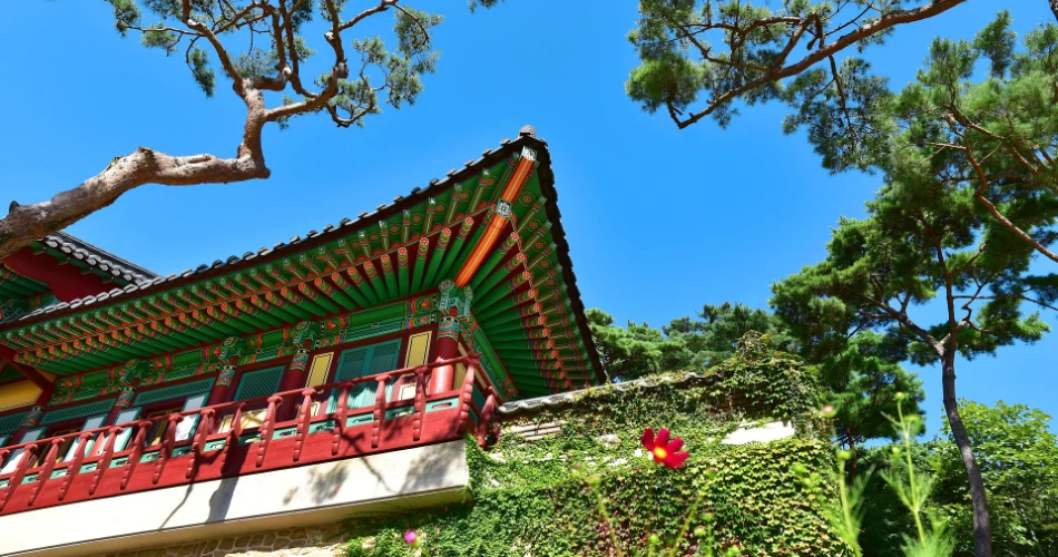 Short & Sweet Korean Delights (For Tight Schedules)