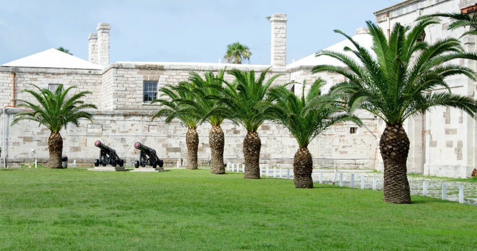 BERMUDA BERMUDA