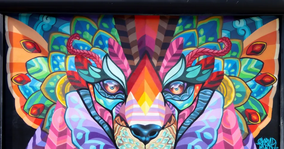 Explore art and culture. Explore art and culture.