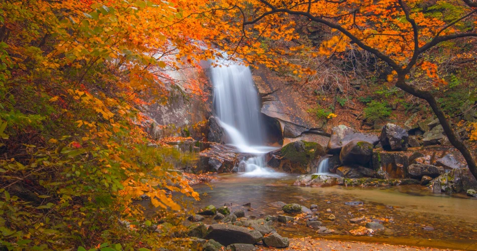 Invicta Falls Invicta Falls