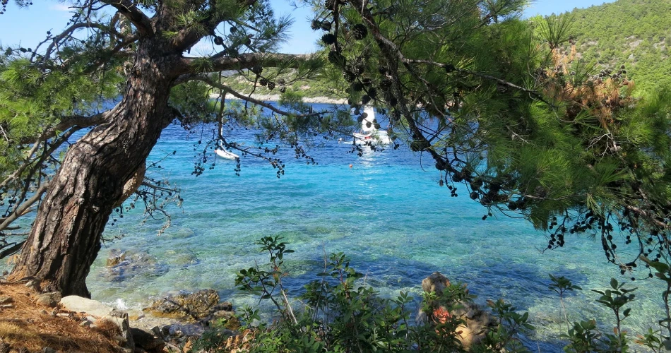 Bodrum Bodrum