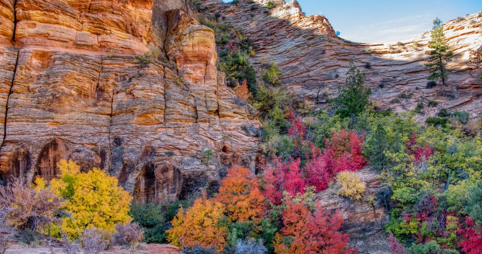 Utah's National Park Utah's National Park