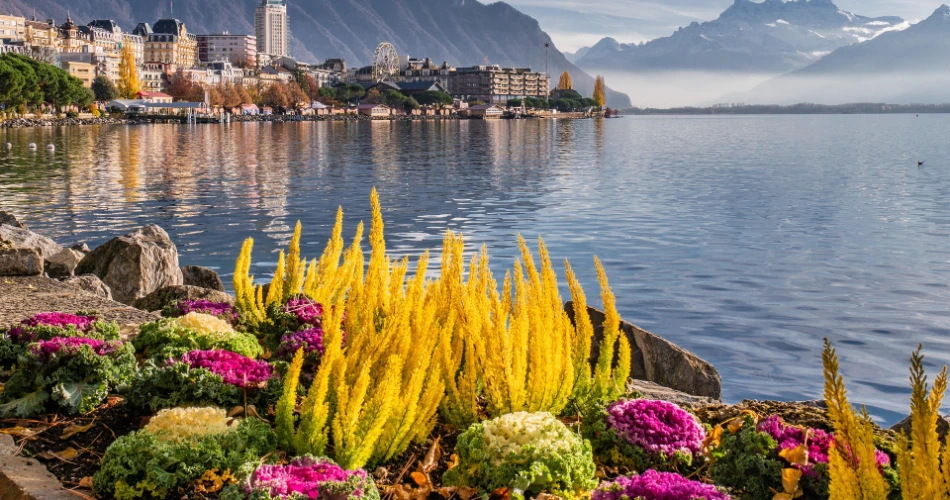 Geneva Airport Assistance Services
